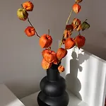 Lägenhet Casa Mia *