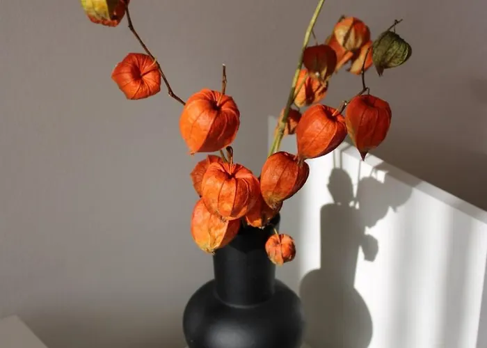 Apartamento Casa Mia *